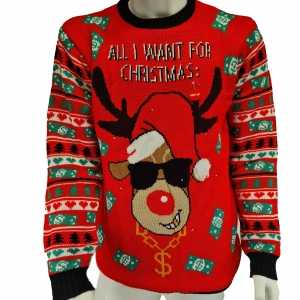 Foute rode heren kersttrui all i want is money met lichtjes/lampjes