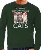 Foute kitten kersttrui outfit all i want for christmas is cats groen voor heren